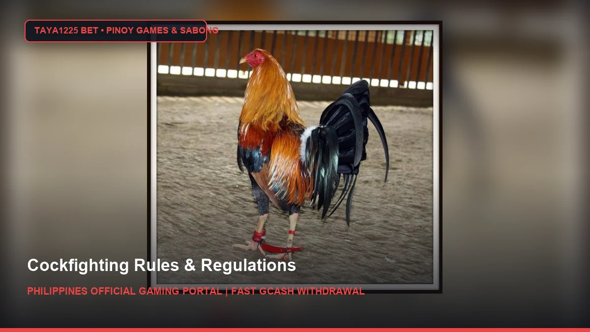 Cockfighting Rules & Regulations - Taya1225 Bet Philippines